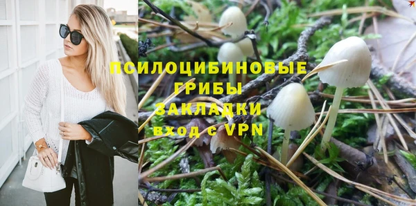 хмурый Зеленодольск