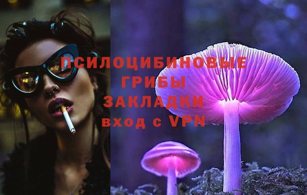 apvp Зерноград